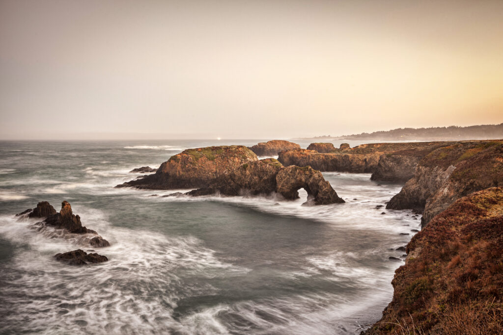 Mendocino Institute